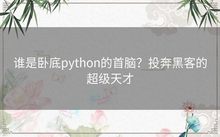 谁是卧底python的首脑？投奔黑客的超级天才