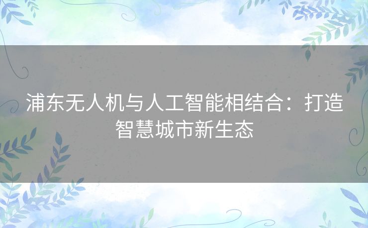 浦东无人机与人工智能相结合：打造智慧城市新生态