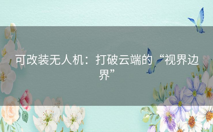 可改装无人机：打破云端的“视界边界”