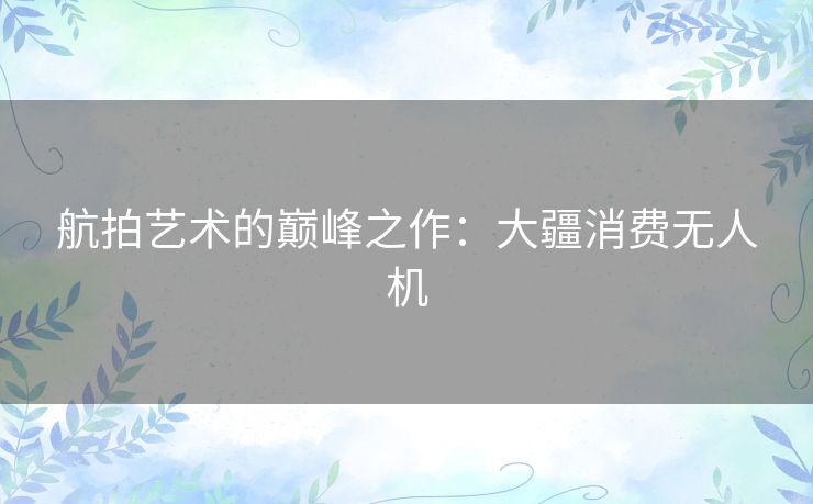 航拍艺术的巅峰之作：大疆消费无人机