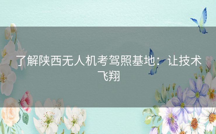 了解陕西无人机考驾照基地：让技术飞翔