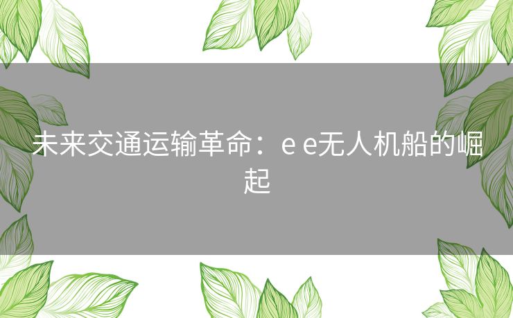 未来交通运输革命：e e无人机船的崛起