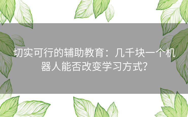 切实可行的辅助教育：几千块一个机器人能否改变学习方式？