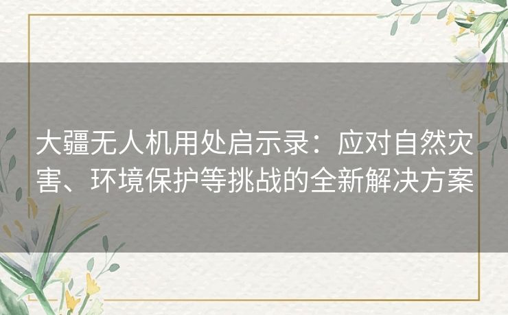 大疆无人机用处启示录：应对自然灾害、环境保护等挑战的全新解决方案