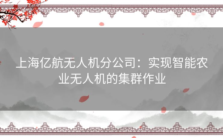 上海亿航无人机分公司：实现智能农业无人机的集群作业