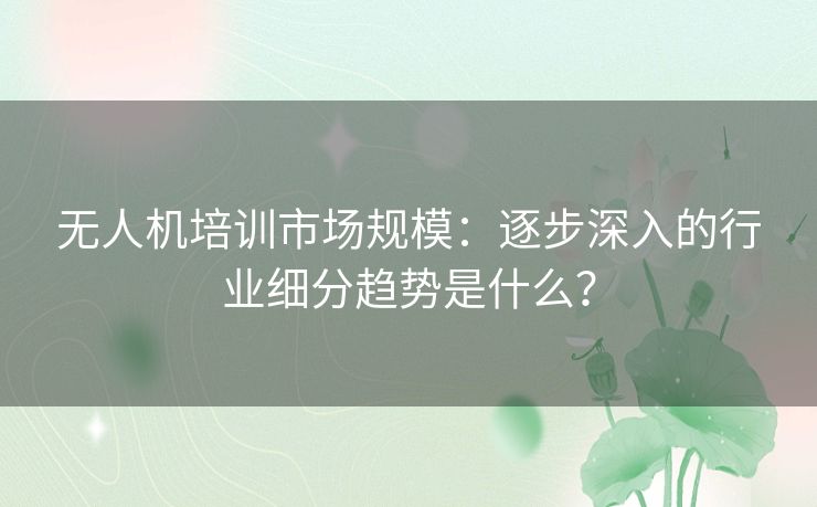 无人机培训市场规模：逐步深入的行业细分趋势是什么？