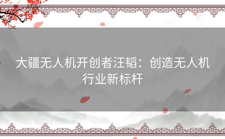 大疆无人机开创者汪韬：创造无人机行业新标杆