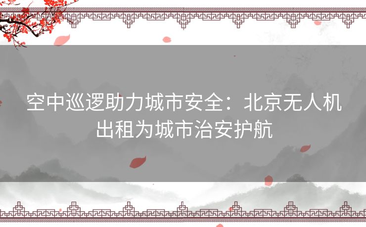 空中巡逻助力城市安全：北京无人机出租为城市治安护航