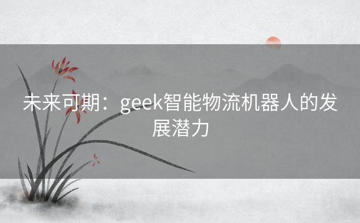 未来可期：geek智能物流机器人的发展潜力