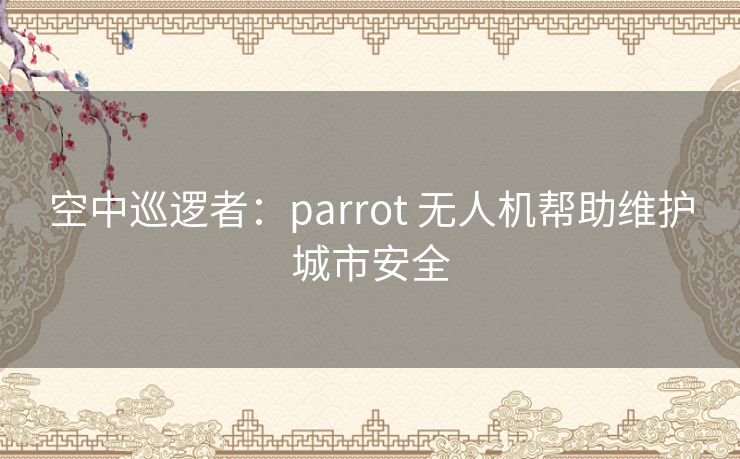 空中巡逻者：parrot 无人机帮助维护城市安全