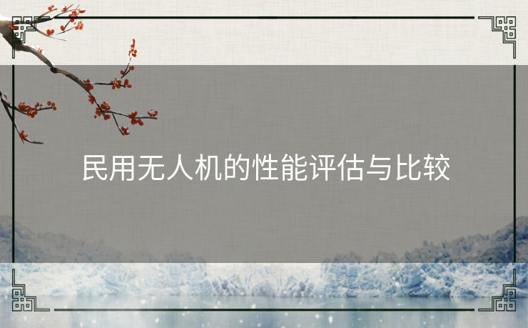 民用无人机的性能评估与比较