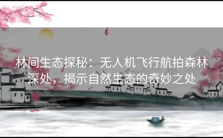 林间生态探秘：无人机飞行航拍森林深处，揭示自然生态的奇妙之处