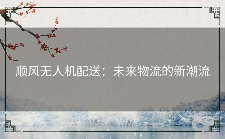 顺风无人机配送：未来物流的新潮流