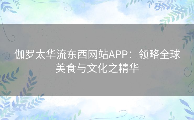 伽罗太华流东西网站APP：领略全球美食与文化之精华